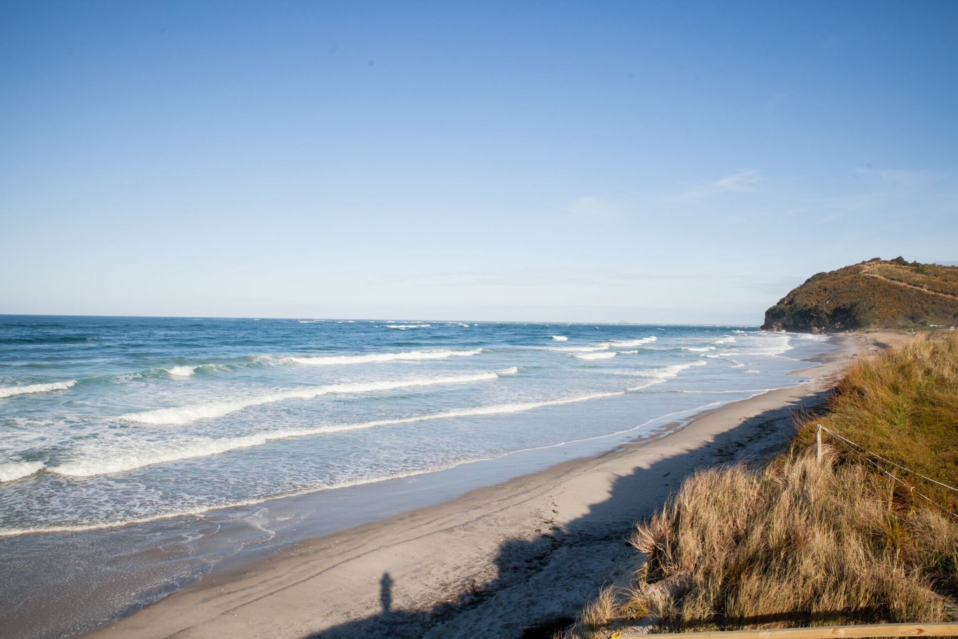 Waihi Beach Rustling Oaks